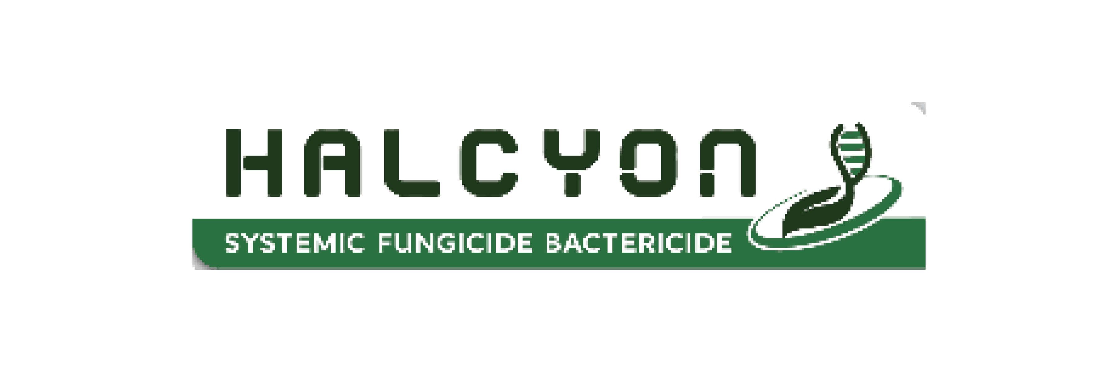 Halcyon_Content Graphic_050626.jpg