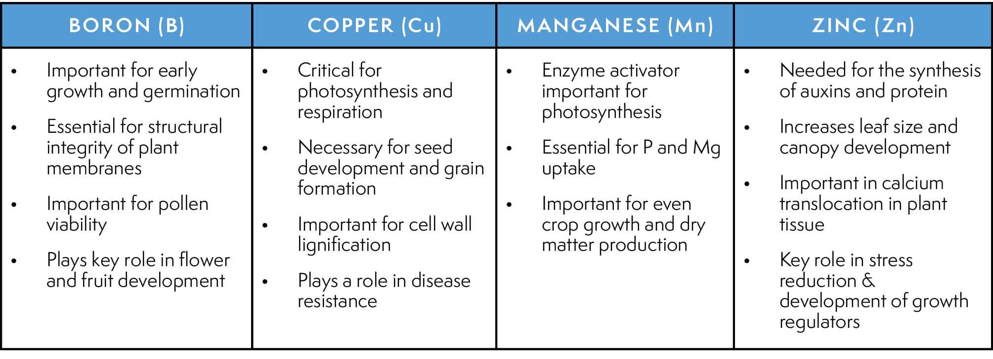 Yara Procote BCMZ_Chart_032326.jpg
